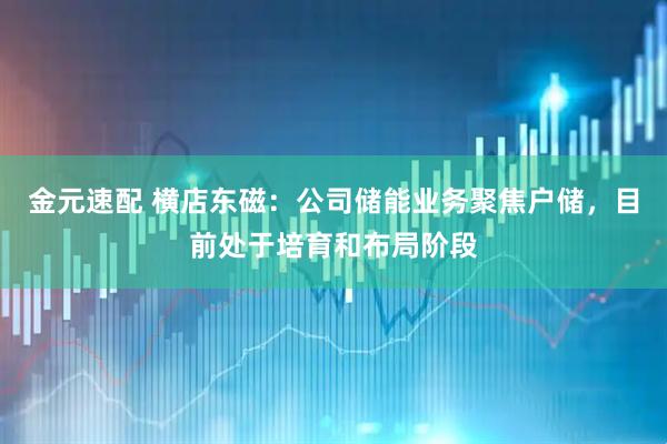 金元速配 横店东磁：公司储能业务聚焦户储，目前处于培育和布局阶段