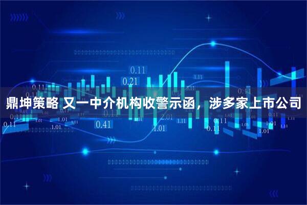 鼎坤策略 又一中介机构收警示函，涉多家上市公司