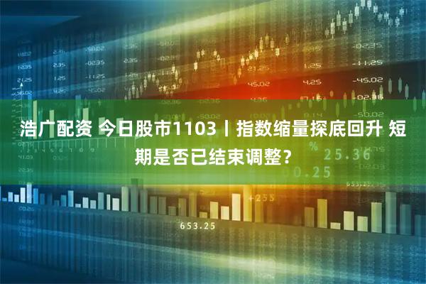 浩广配资 今日股市1103丨指数缩量探底回升 短期是否已结束调整？